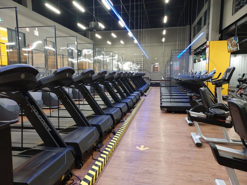 Dãy máy chạy bộ trong phòng gym hiện đại